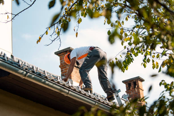 Best Roof Moss and Algae Removal  in North Corbin, KY